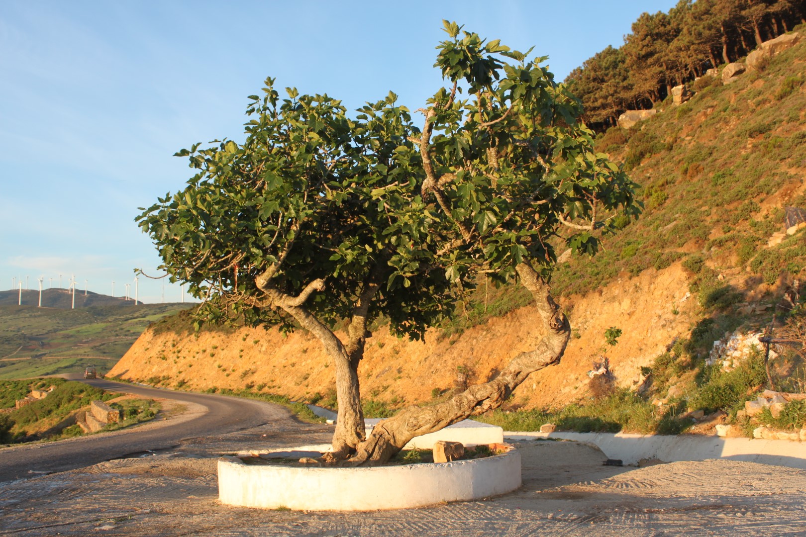 رحلة الحوز