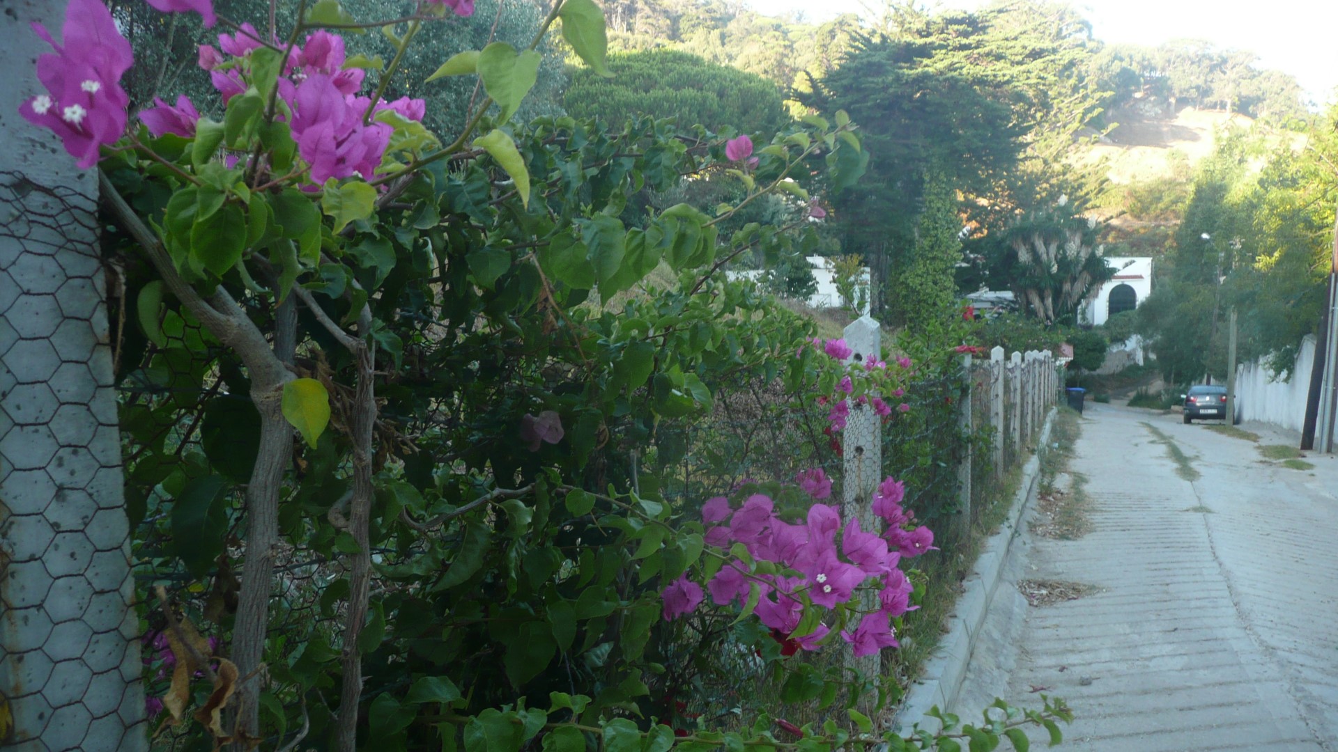 مسار رحلة الجبل الكبير - الدونابو‏ (مدينة طنجة)