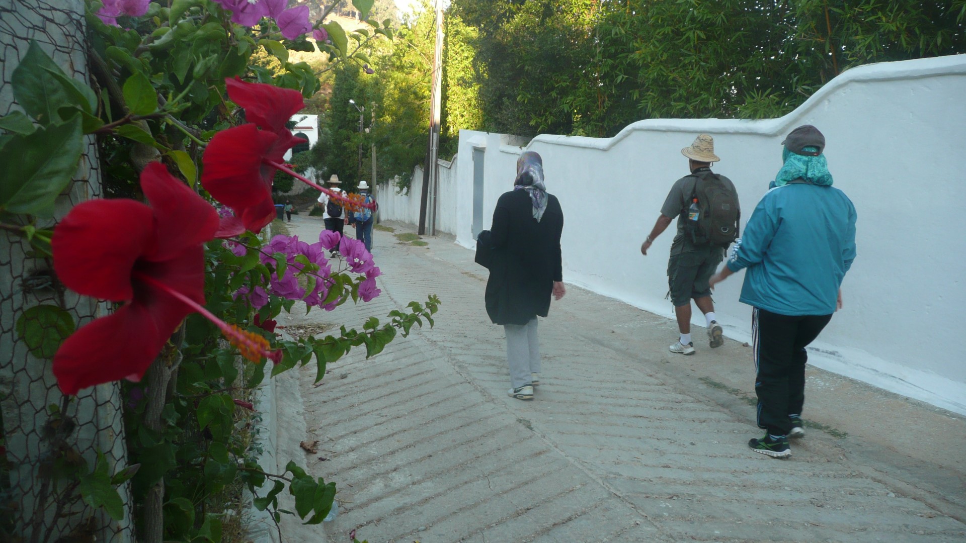 مسار رحلة الجبل الكبير - الدونابو‏ (مدينة طنجة)