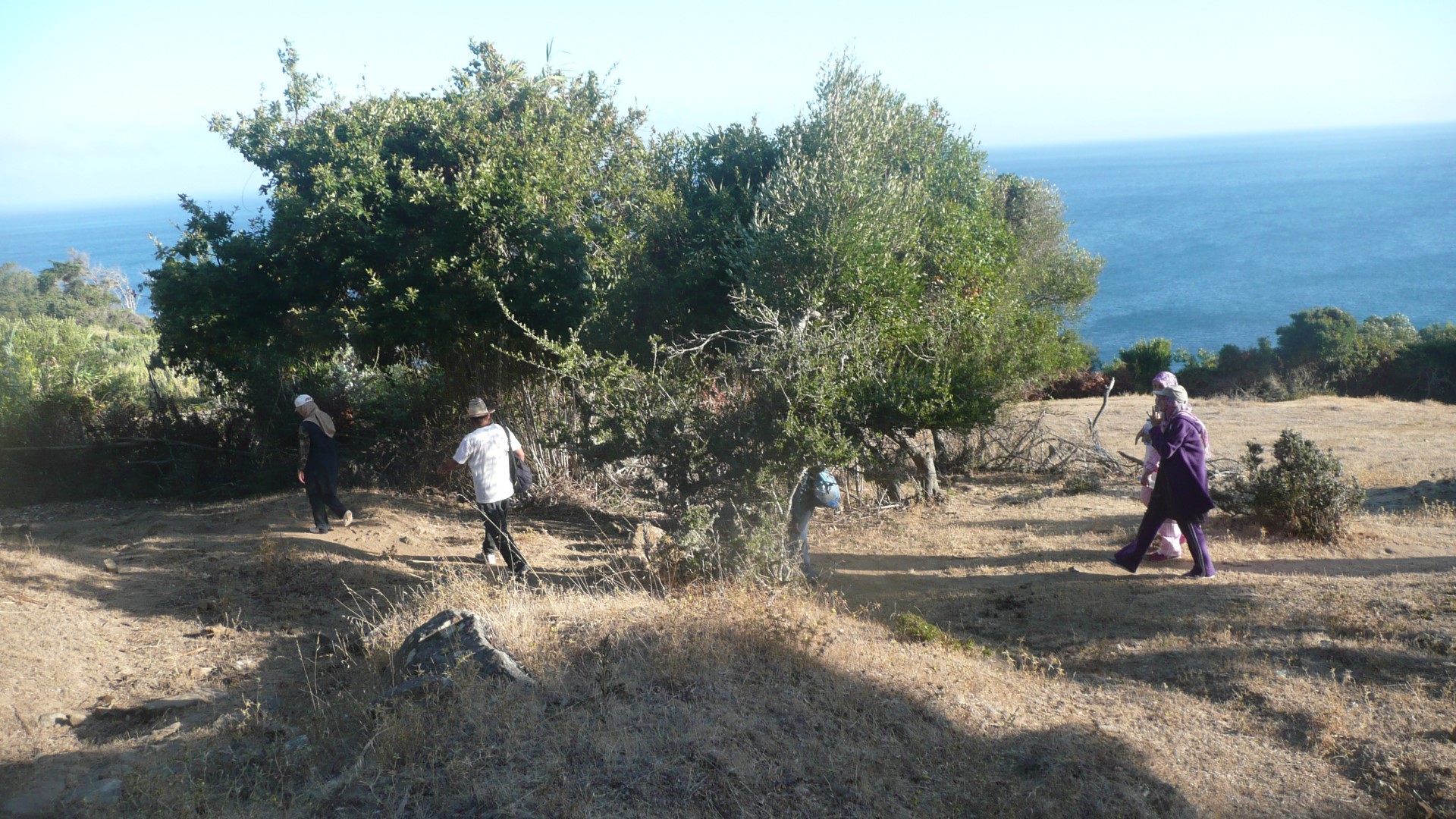 مسار رحلة الجبل الكبير - الدونابو‏ (مدينة طنجة)