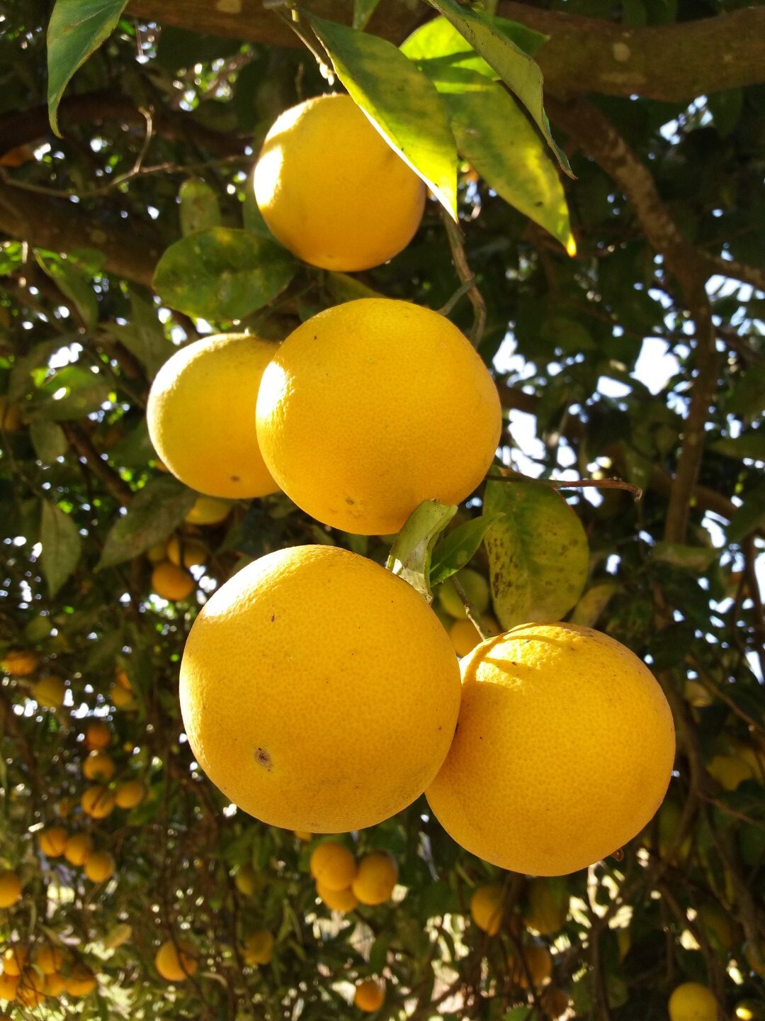 رحلة مشي على الأقدام استفاد منها 8 أفراد