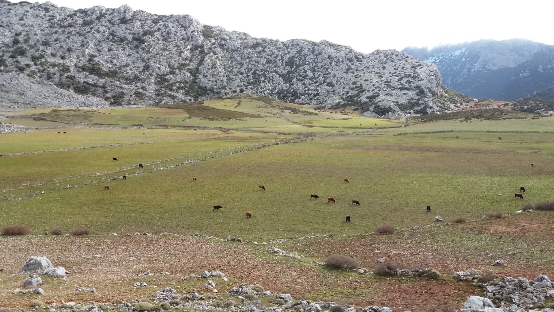 رحلة إلى جبل كلتي المتواجد بقبيلة بني حسان