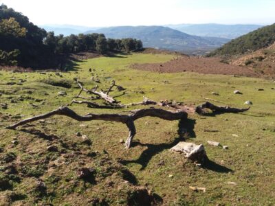 أول وجهة لجمعية الرحالة لهواة المشي بطنجة خلال اليوم الأول من سنة 201