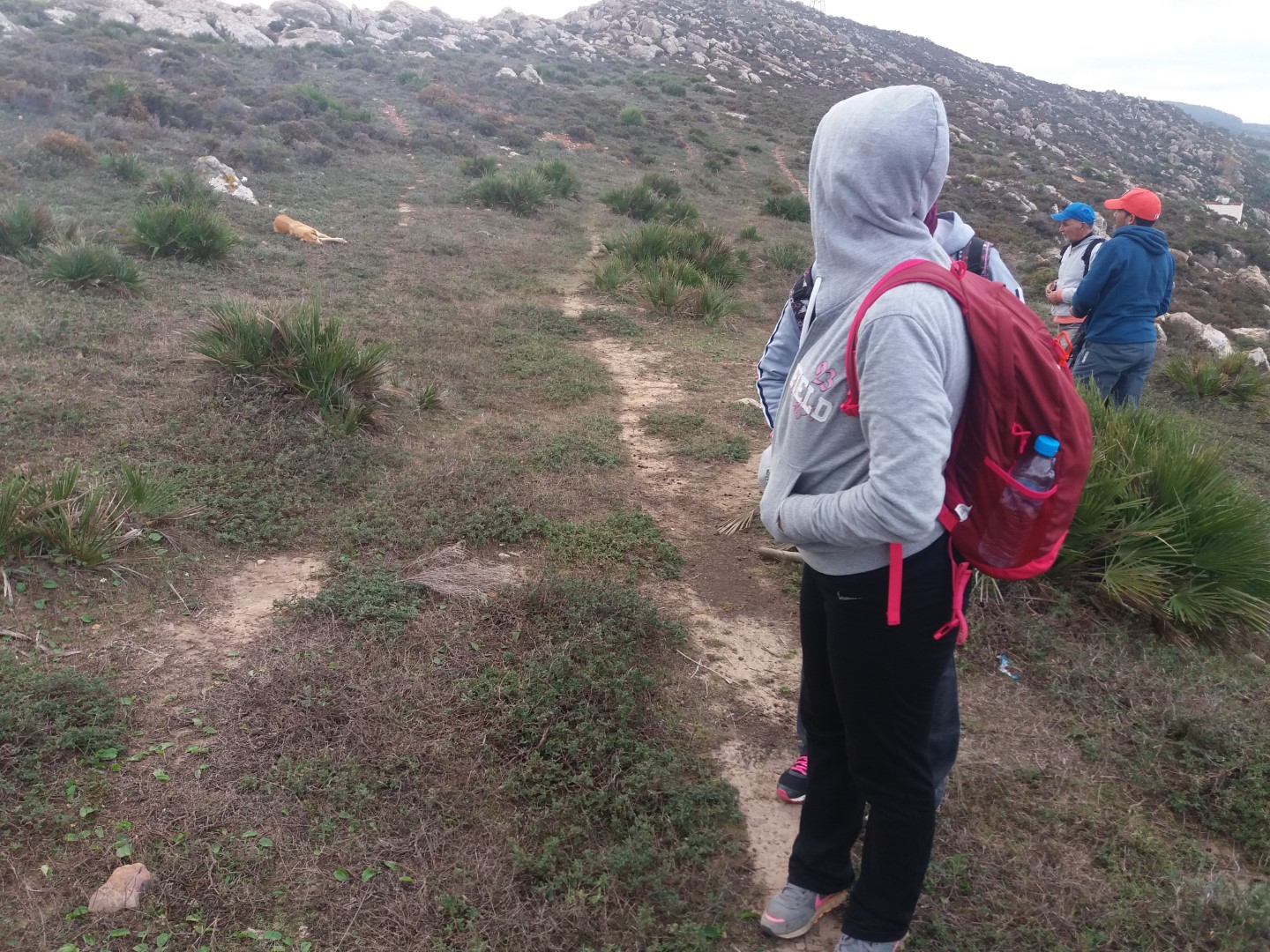 خرجة حزام طنجة