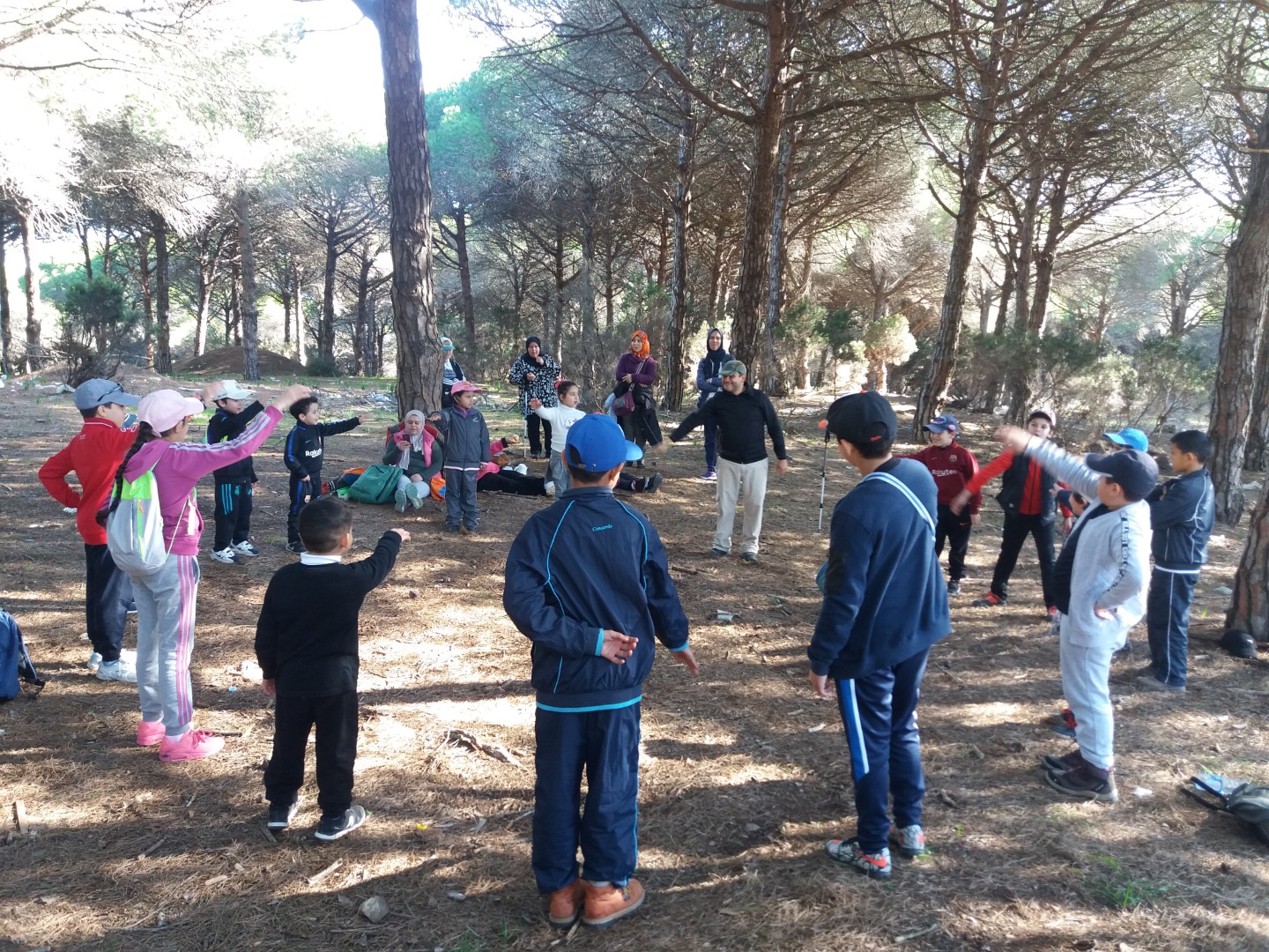 التعرف على الغطاء الغابوي الممتد على طول منطقة الرهراه ومديونة والدونابو