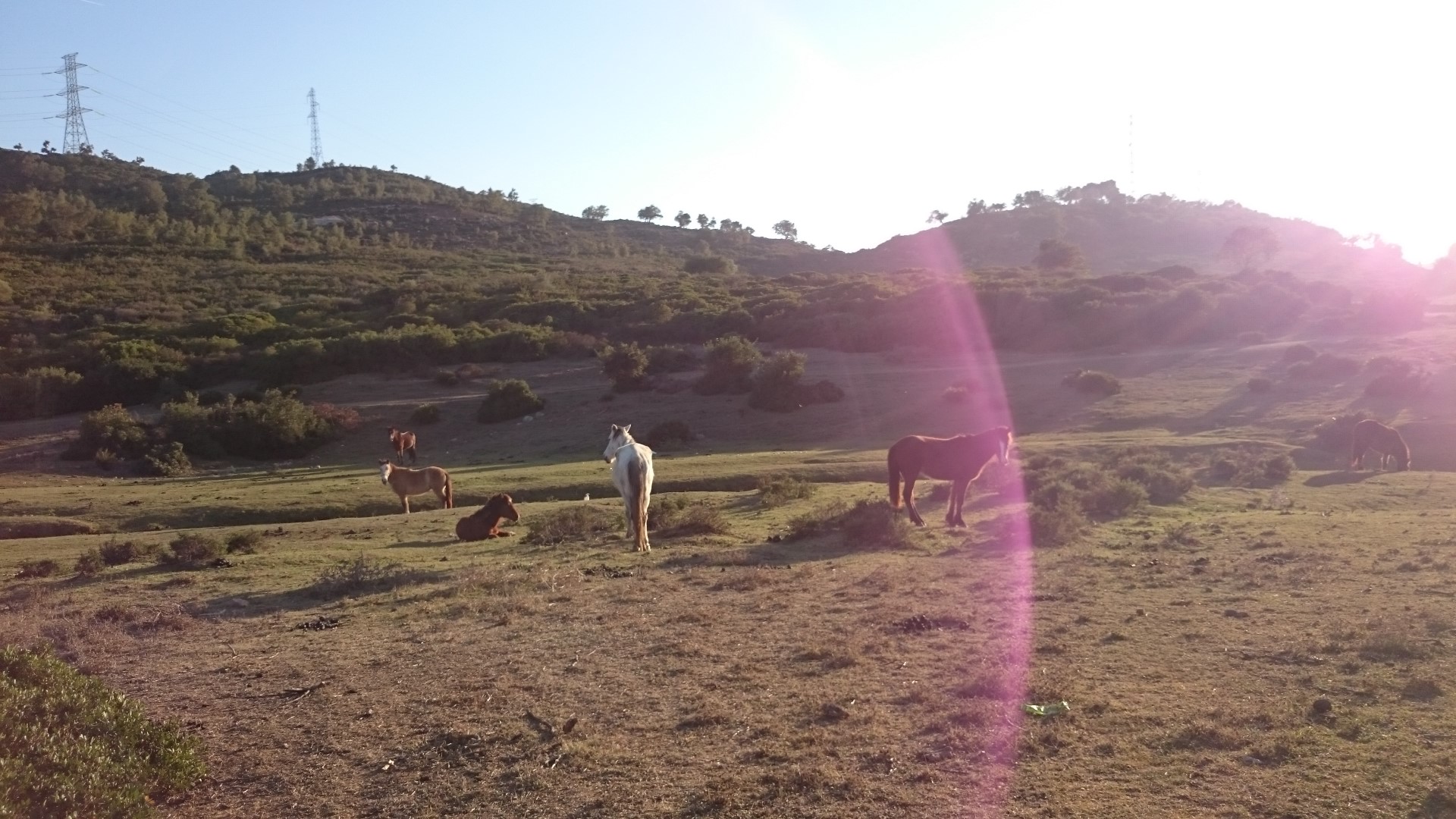 رحلة إلى منطقة جبل الحبيب