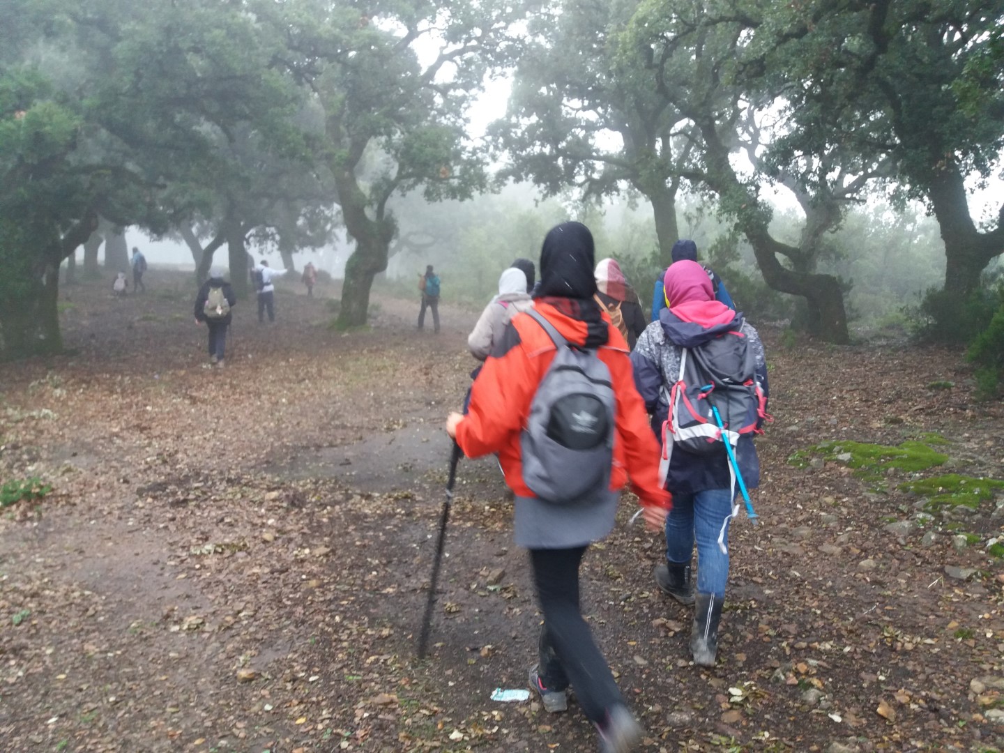يوم مشهود للمشاءات والمشائين في جمعية الرحالة لهواة المشي بطنجة