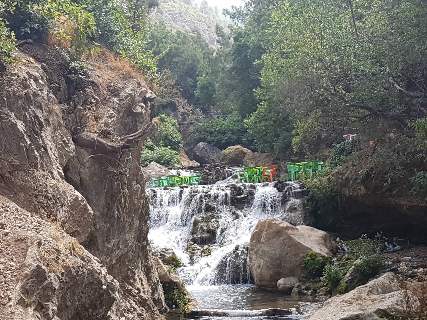 خرجة جمعت بين الترفيه والمشي بـأقشور