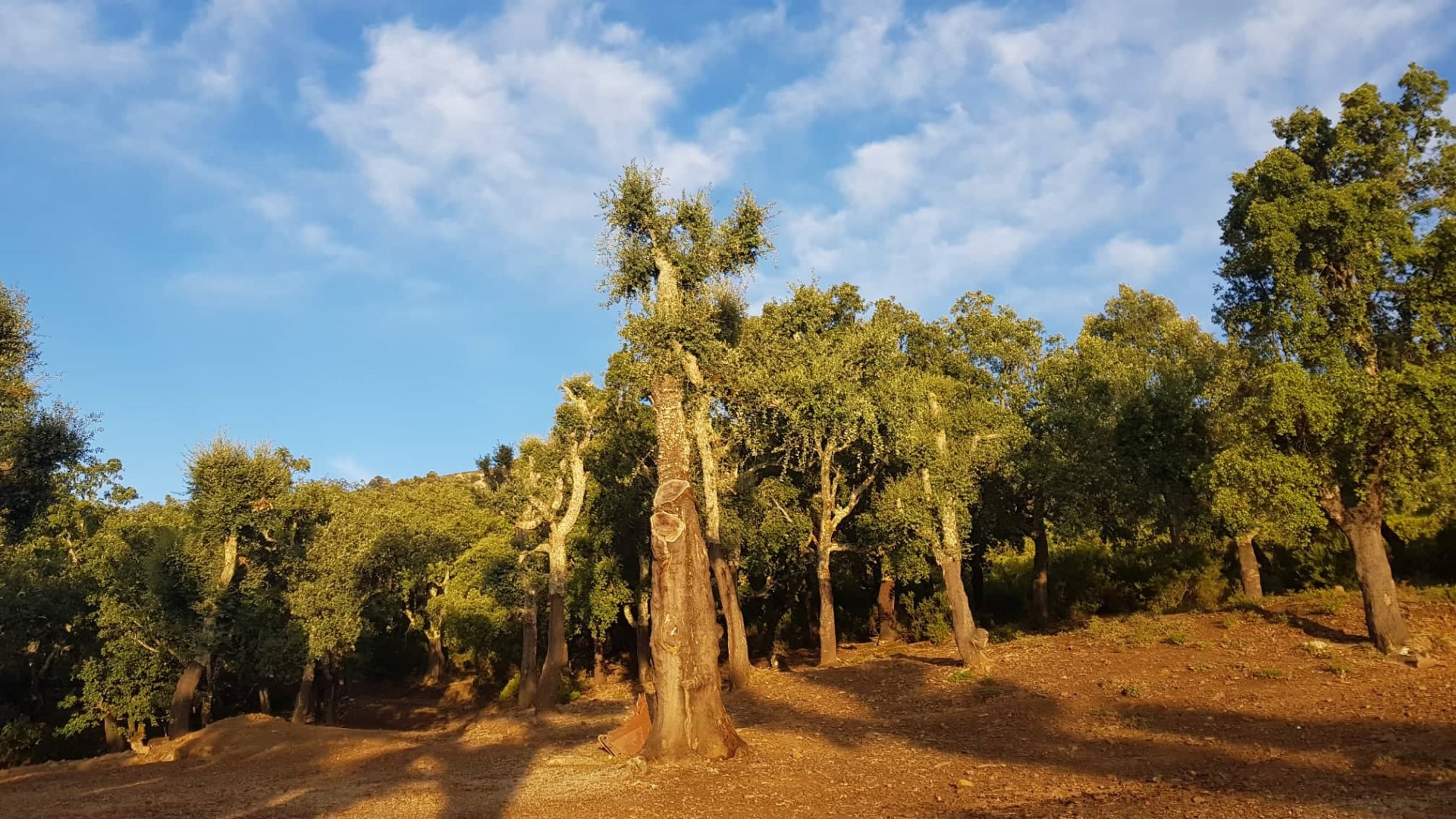 توجهت جمعية الرحالة لهواة المشي بطنجة إلى منطقة البغاغزا