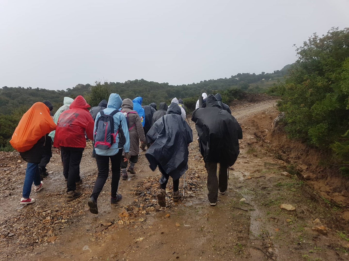 يوم مشهود للمشاءات والمشائين في جمعية الرحالة لهواة المشي بطنجة