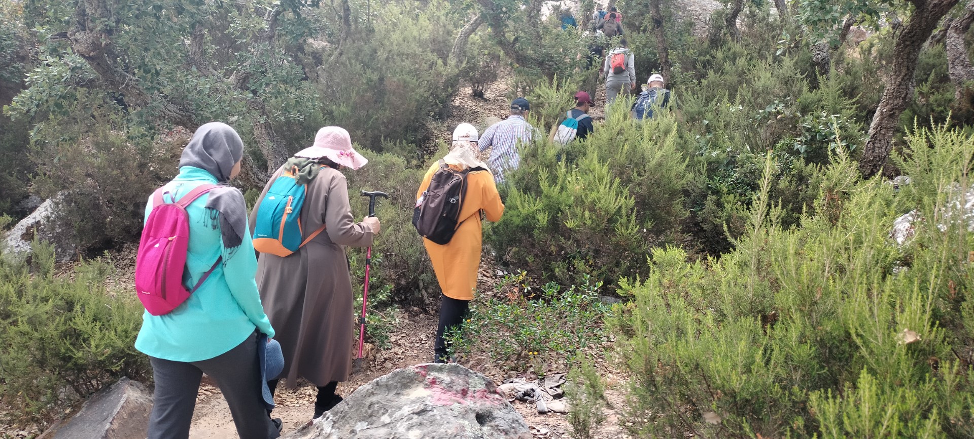 خرجة الى غابة اكزناية بضاحية مدينة طنجة