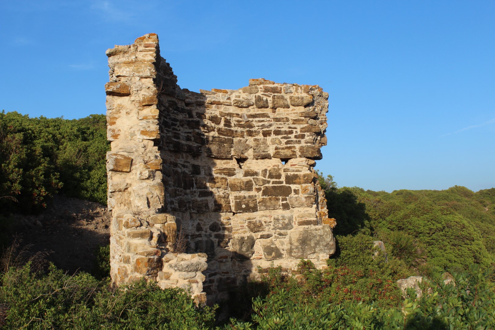   زيارة خموش