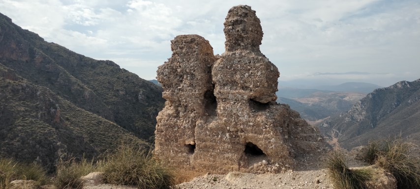 تاوسارت