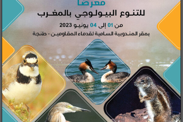 WhatsApp Image 2023-05-29 at 17.36.05