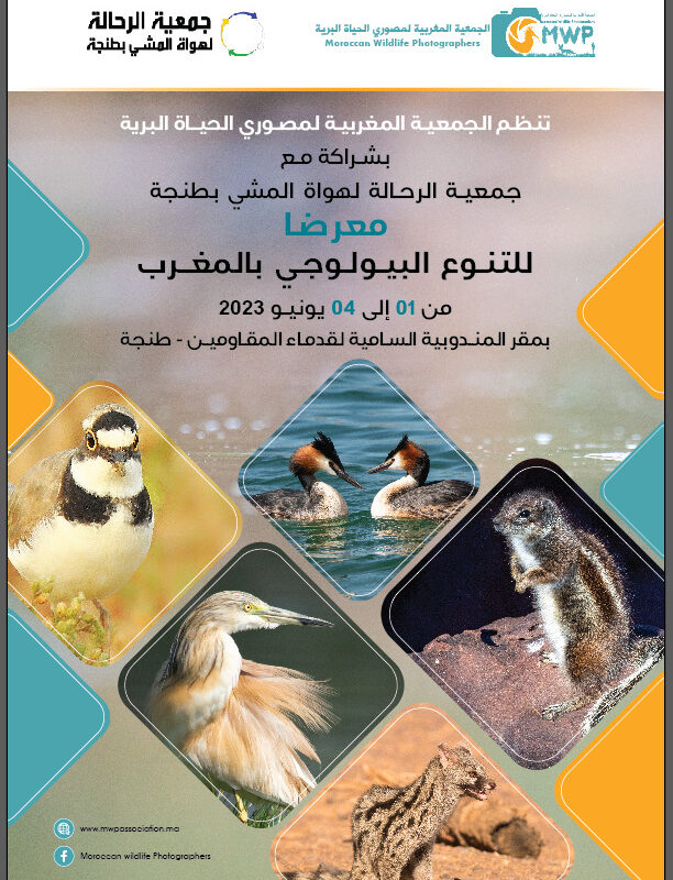 WhatsApp Image 2023-05-29 at 17.36.05